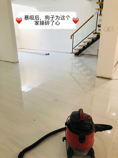 小狗(puppy)干湿吹三用大功率桶式商用家用吸尘器D-807 晒单图