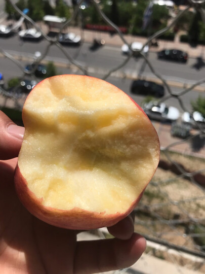 洛川苹果 陕西红富士苹果  20个80mm 约4.75kg 苹果水果礼盒 新鲜时令水果 20枚80 晒单图