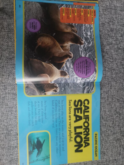 美国国家地理儿童百科 海洋 National Geographic Little Kids First Big Book of the Ocean 进口原版 少年儿童科普 大开本 晒单图