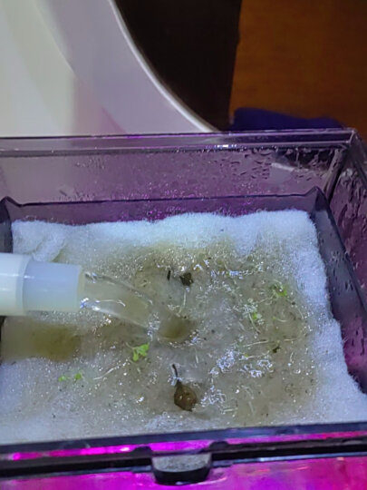 森森（SUNSUN）鱼缸过滤棉水族箱过滤材料生化棉过滤器加厚高密度白棉 12cm宽*6米长*2cm厚 晒单图