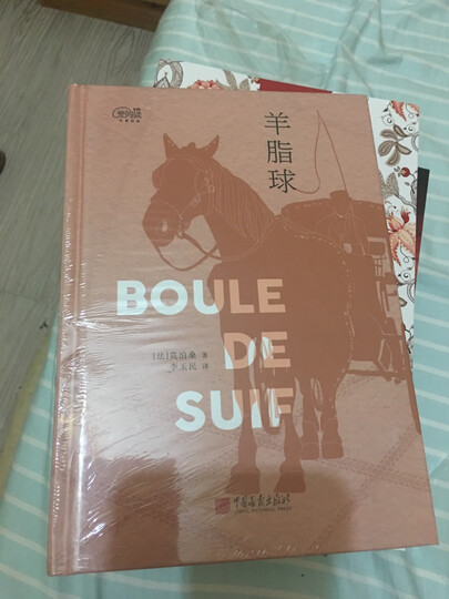 爱阅读：八十天环游地球 凡尔纳科幻代表作 《语文》推荐名著课外阅读 晒单图