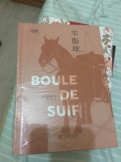 爱阅读：巴黎圣母院 《语文》推荐名著课外阅读 维克多·雨果 晒单图