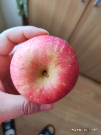 京鲜生 陕西洛川红富士苹果4.8斤 果径75mm 新鲜水果 源头直发 晒单图