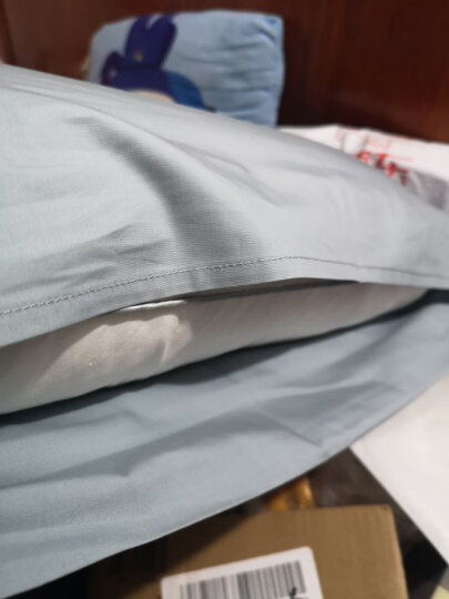 睡眠博士（AiSleep）枕芯 磁石款决明子荞麦枕芯 草本纤维枕 舒睡酒店枕头 晒单图