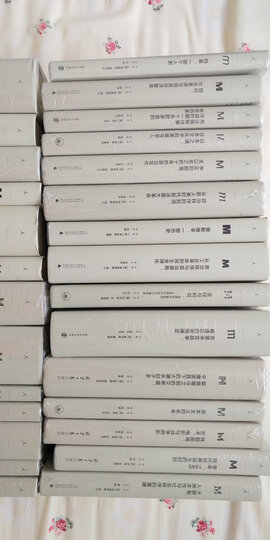 理想国译丛002·漫漫自由路:曼德拉自传 晒单图
