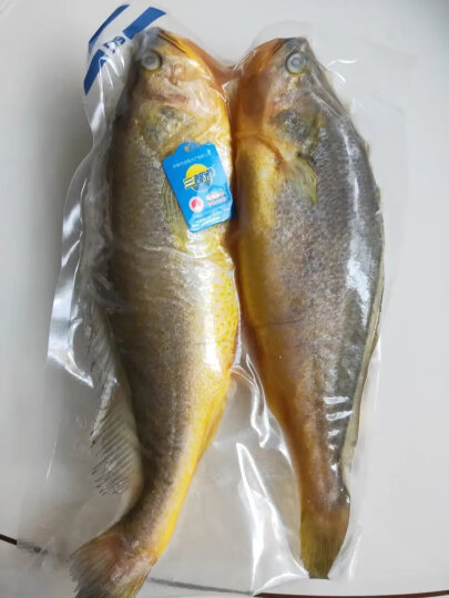 三都港 三去深海宁德大黄花鱼1kg/2条装 生鲜 鱼类 国产海鲜水产 健康轻食 晒单图