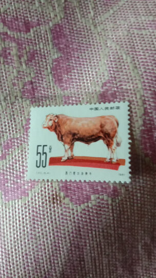 东吴收藏 不成套邮票/散票 集邮 JT票 1974-1991年 之六 T63 牛 6-6 西门塔尔牛 55分 晒单图