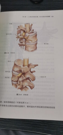 酸痛拉筋解剖书 晒单图