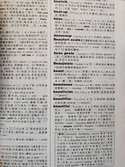 新英汉大词典（第2版）（单色本） 晒单图