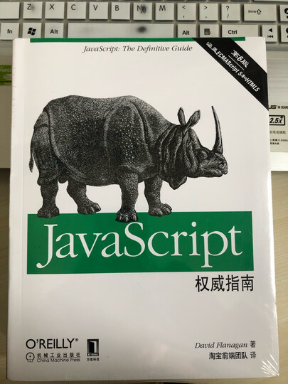 JavaScript高级程序设计(第3版)(图灵出品) 晒单图