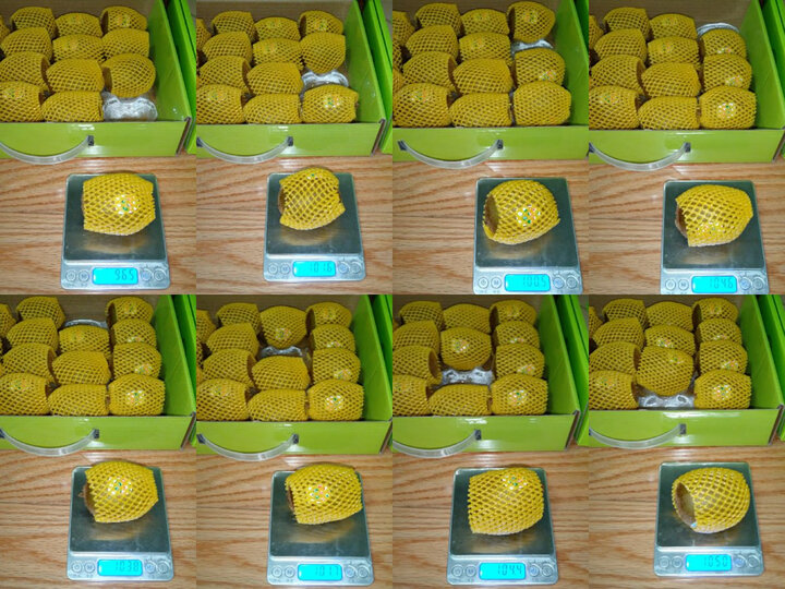 Zespri佳沛 新西兰绿奇异果 特大22-25个 原箱装 单果重约134-175g 水果礼盒 生鲜水果 晒单图