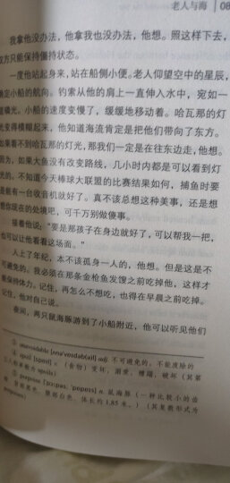 老人与海/经典畅销文学小说中英对照足本童话书·振宇书虫（英汉对照注释版） 晒单图