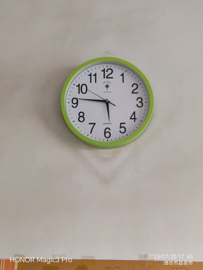 北极星（POLARIS） 挂钟 时尚创意客厅钟表 简约石英钟12英寸2842绿色 晒单图