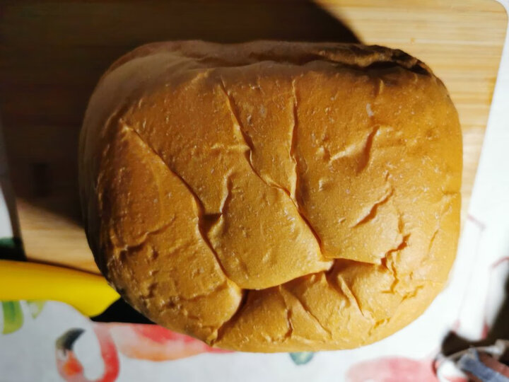 东菱(Donlim)烤面包机家用 早餐机 全自动和面机 涡轮电机驱动仿古法手工揉面DL-T15W 晒单图