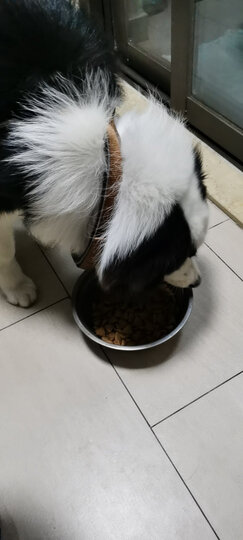 宝路 宠物狗粮 成犬全价粮 大型犬金毛哈士奇拉布拉多萨摩耶 牛肉味 1.8kg 晒单图