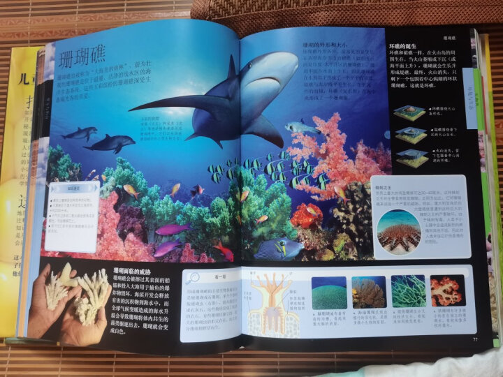 DK儿童人类历史百科全书（第2版）（2021年全新印刷）(中国环境标志产品 绿色印刷) 晒单图
