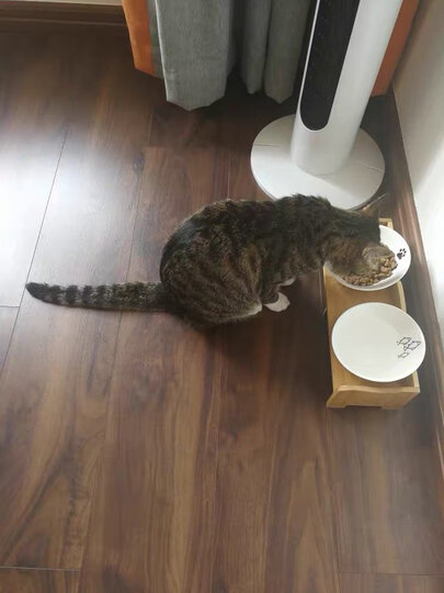 ROYAL CANIN 皇家猫粮 I27 Indoor27室内成猫猫粮 全价粮 10kg 晒单图