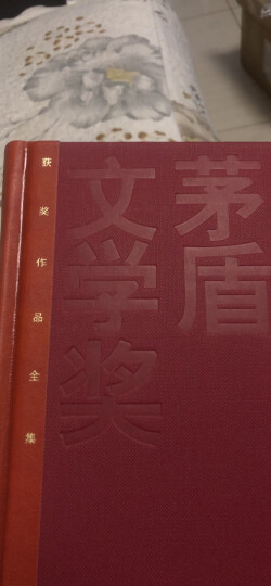 长恨歌 典藏版 王安忆作品 第五届茅盾文学奖获奖作品全集 人民文学出版社 晒单图