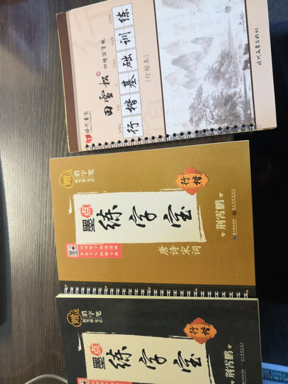 田雪松2000常用字(楷书)初学篇+基础篇+提高篇+进阶篇 隐形字帖正楷体练字帖(套装共4册) 晒单图
