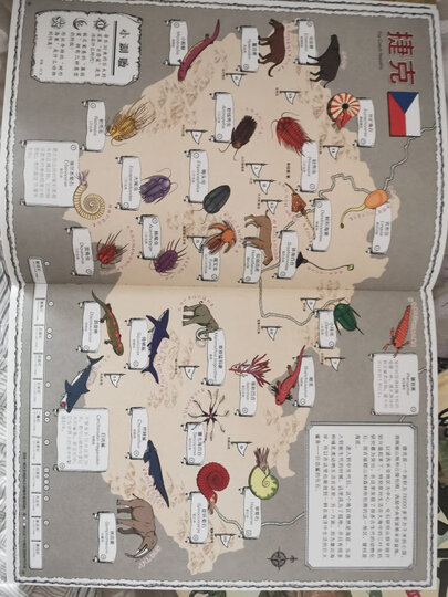 从天空到海底:交通工具儿童百科全书(精装绘本) 晒单图