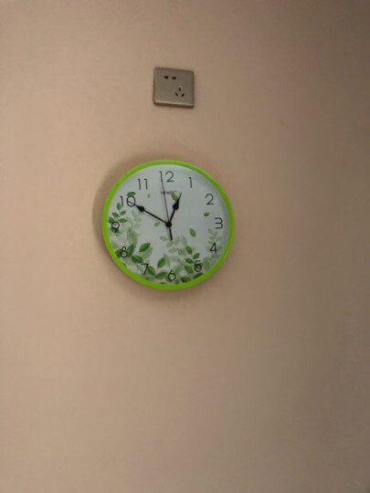 汉时（Hense）钟表 创意现代挂墙钟客厅卧室个性小时钟简约石英钟HW87 白色 晒单图