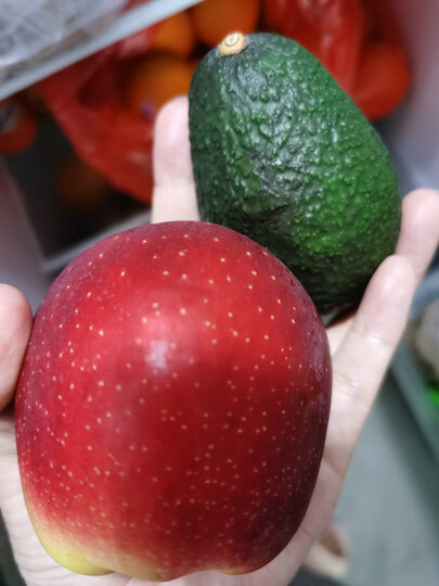 进口牛油果 中果6粒装 单果重130g起 生鲜水果 晒单图