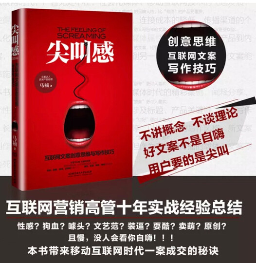 尖叫感:互联网文案创意思维与写作技巧 晒单图