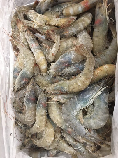 禧美 厄瓜多尔白虾 净重1.8kg 90-108只/盒 大虾 原装进口 海鲜水产 晒单图