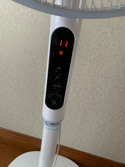 格力(GREE)电风扇 落地扇一级能效 家用立式电扇 14叶大风力空气循环扇 办公室遥控变频轻音扇 晒单图