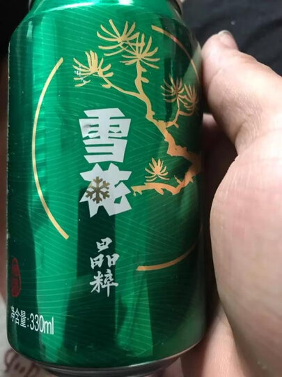 雪花啤酒(Snowbeer) 勇闯天涯 500ml*12听 整箱装 晒单图