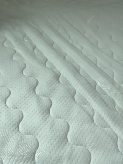 九洲鹿家纺 软垫舒适透气床垫四季保护垫 休闲床垫子 床褥子 繁星点点 1.8米床 晒单图
