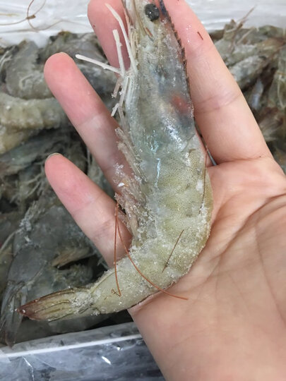 禧美 厄瓜多尔白虾 净重1.8kg 90-108只/盒 大虾 原装进口 海鲜水产 晒单图