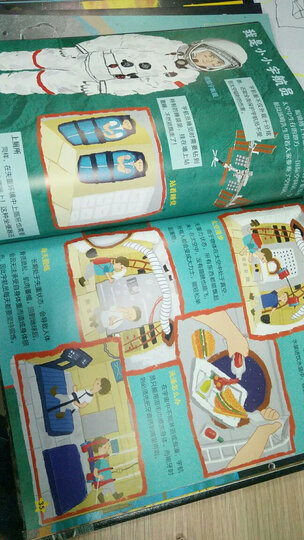 幼儿恐龙大图鉴(套装共8册) 晒单图