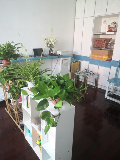 家乐铭品 书柜书架 收纳架储物柜加固加高八格柜自由组合简易柜子省空间落地文件柜现代简约客厅置物柜 A3230 晒单图