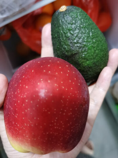 进口牛油果 中果6粒装 单果重130g起 生鲜水果 晒单图