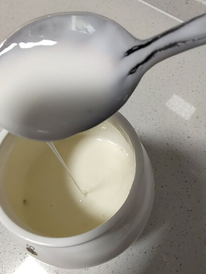 小熊（Bear）米酒酸奶机 家用全自动蜜罐陶瓷内胆 酸奶发酵菌  微电脑定时 SNJ-530 晒单图