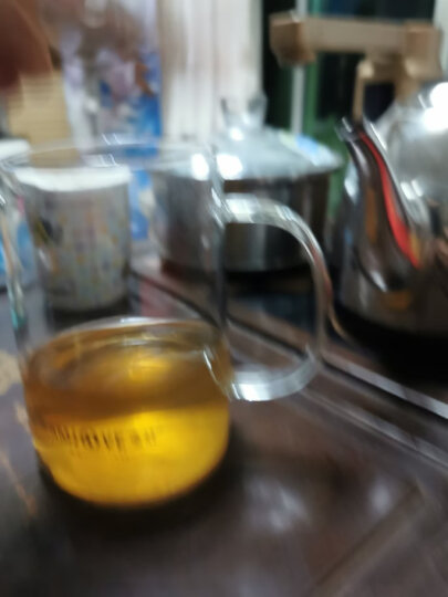 金灶（KAMJOVE）茶壶飘逸杯 功夫茶壶 茶水分离玻璃泡茶壶办公室茶具过滤花茶壶 A-03【500ml】 晒单图