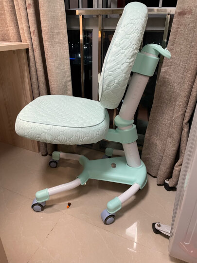博士有成人体工学椅 儿童多功能学习椅 学生椅子可升降写字椅 健康学习椅 护脊正姿椅 DRY-501人体工学椅 蓝色 晒单图