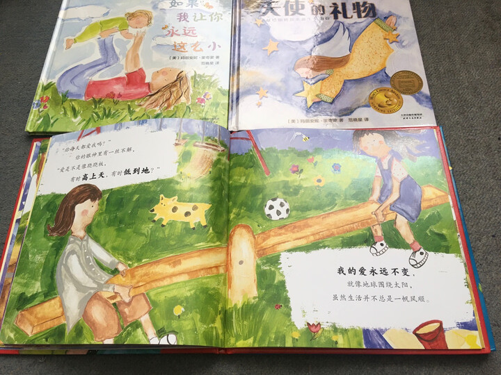 凯迪克金奖绘本系列:火车头+灯船+登月(陆海空三部曲 套装全3册) 晒单图