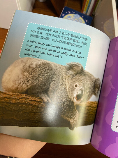 邦臣小红花·我的第一本数学启蒙贴纸游戏书(3~4岁 套装全6册) 晒单图
