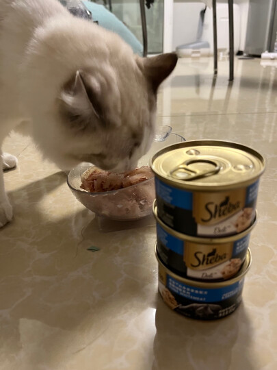 希宝宠物猫粮猫湿粮泰国进口猫罐头吞拿鱼海鲜汤汁系列85g 晒单图