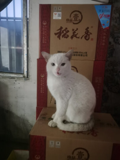 伟嘉成猫猫粮1.3kg牛肉味布偶蓝猫橘猫加菲英短猫咪全价粮 晒单图