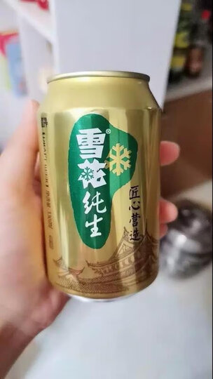 雪花啤酒(Snowbeer) 勇闯天涯 500ml*12听 整箱装 晒单图