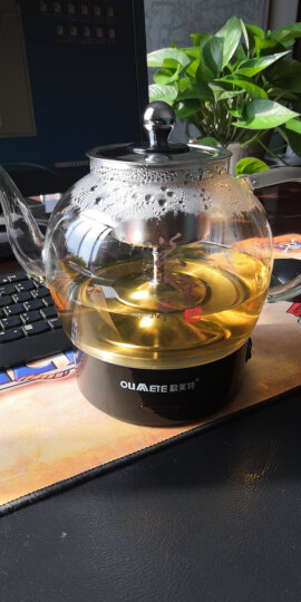 欧美特（OUMETE） 煮茶器黑茶煮茶壶蒸汽自动电茶壶泡茶花茶养生壶小型办公室电热水壶 1016A【加大1.2升保温款】 1.2L 晒单图