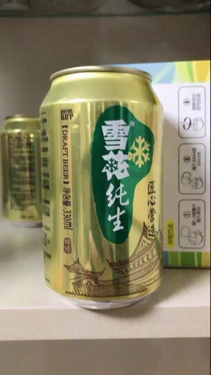 雪花啤酒(Snowbeer) 勇闯天涯 500ml*12听 整箱装 晒单图