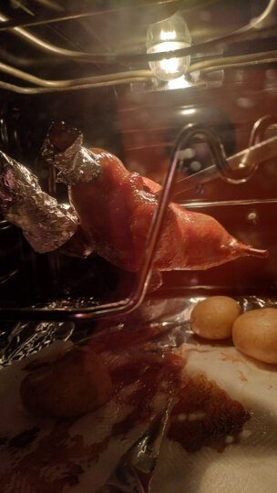 CP正大（CP）樱桃谷鸭 鸭翅中 500g 冷冻 圈养 翅中 烧烤食材 晒单图