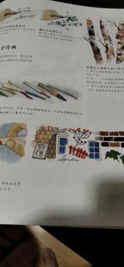 世界绘画经典教程：水彩画完全自学宝典（珍藏版）（绘客出品） 晒单图