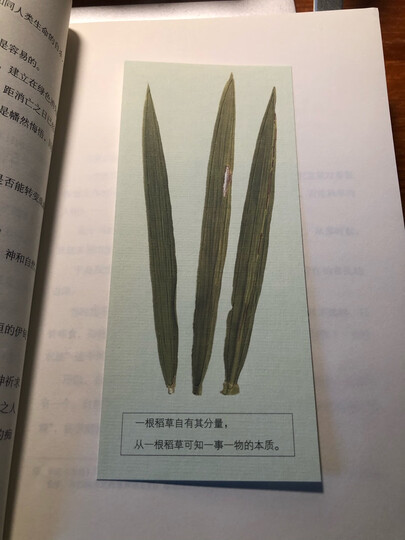 一根稻草的革命 晒单图