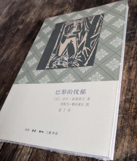 巴黎的忧郁 晒单图