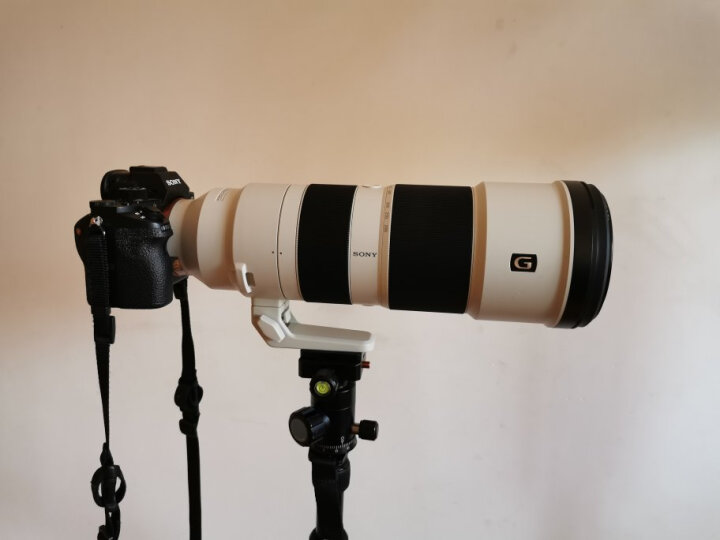 索尼（SONY）FE 100-400mm F4.5–5.6 GM OSS 全画幅超远摄变焦G大师镜头 E卡口（SEL100400GM） 晒单图